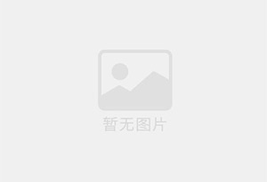 岱岳混凝土拆除公司的电话号码是多少？